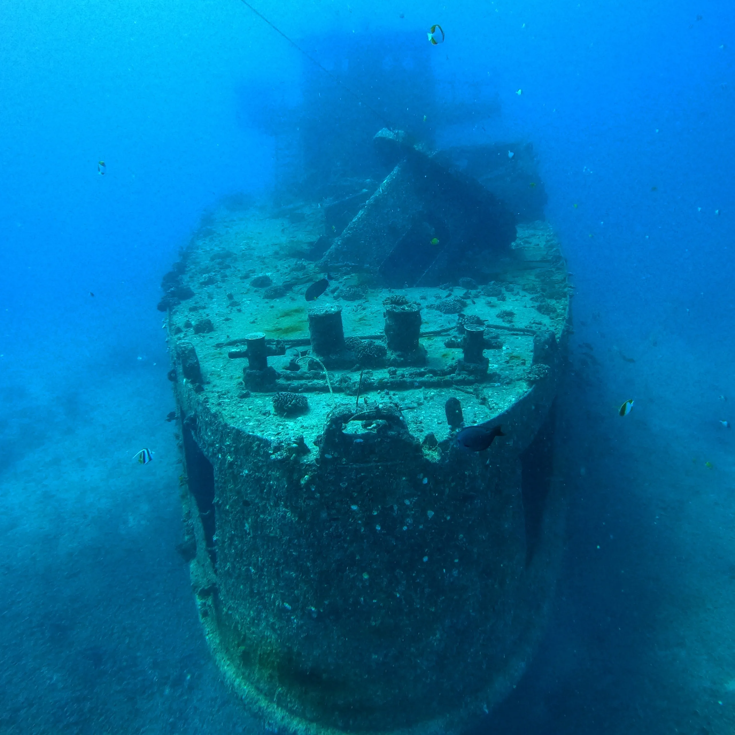 Wreck & Reef Tour in Honolulu - Dive Iconic Wrecks & Reefs